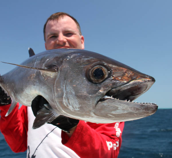 Auch kleinere Hundezahnthune kämper an der Popperrute wie verrückt